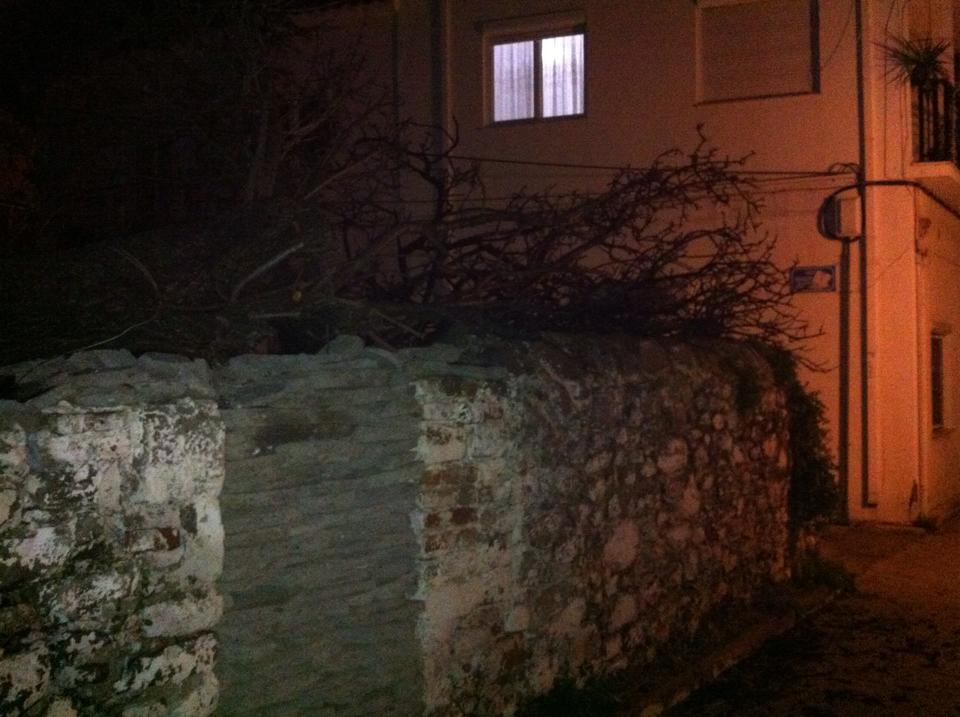 10872437 722556174509420 278360313 n