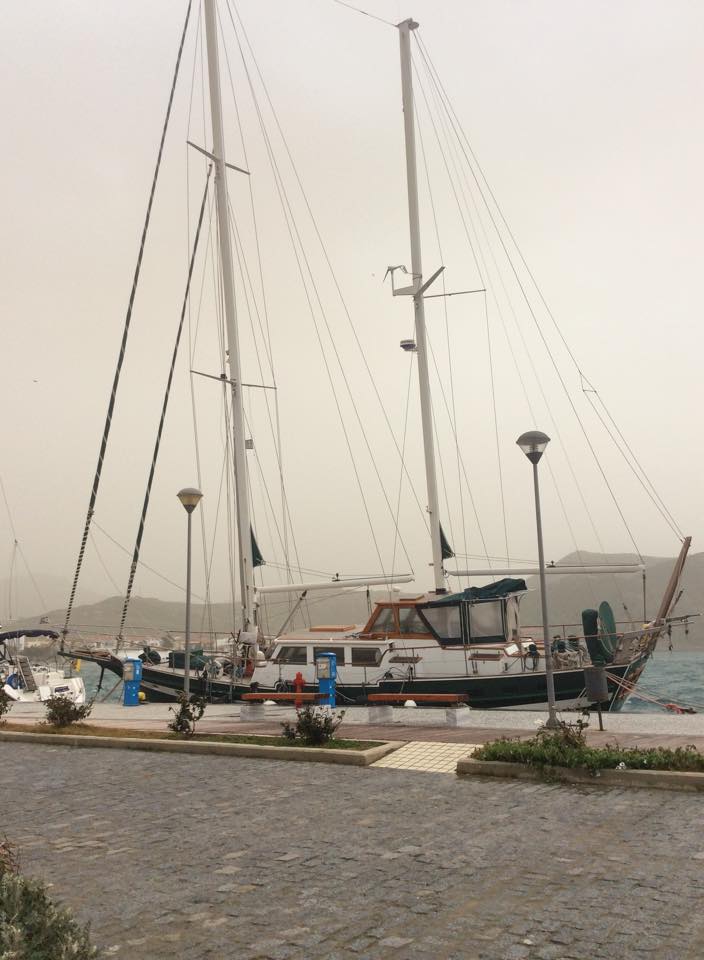 10957464 1574702882767092 2069797548 n