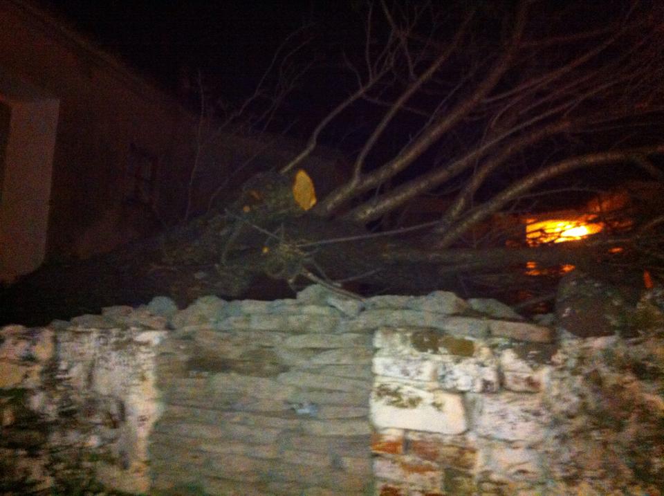 10968107 722556177842753 1341379943 n