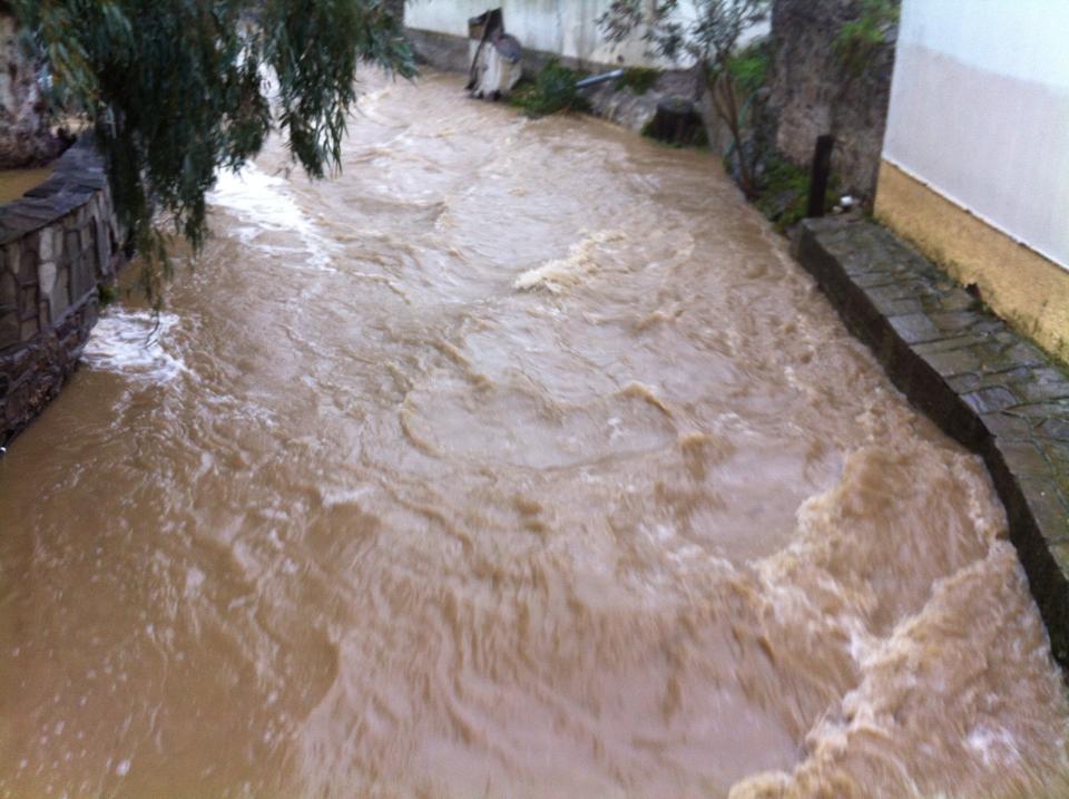 11040749 738702919561412 2130417268 n