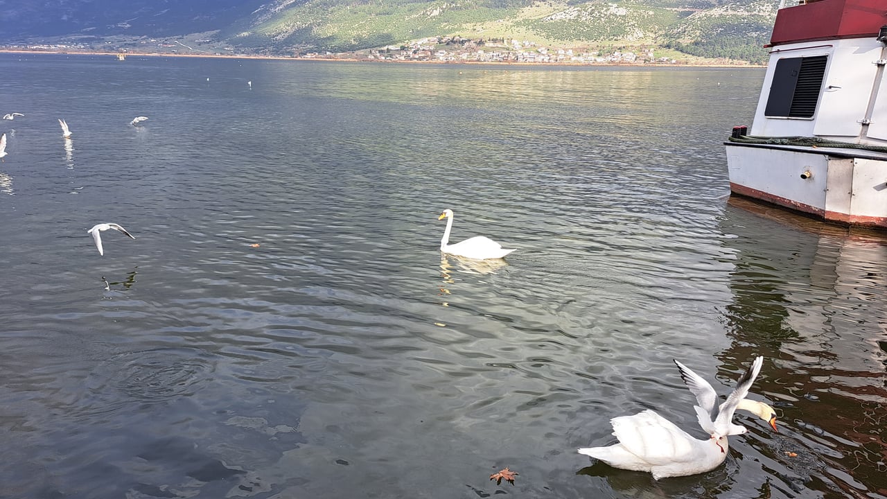 125949F5 0022 4E95 9811 551E43828673