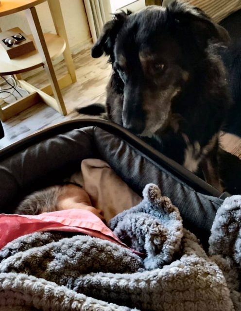 13C50216 ACEF 4CB1 9873 46DF41991D70