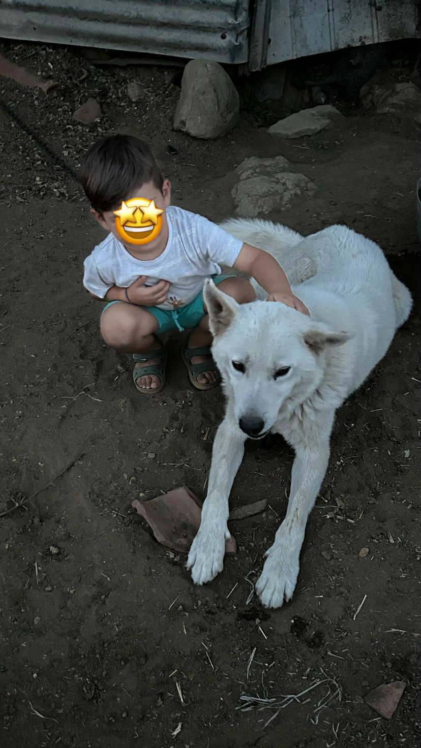 358dd62d f4d0 4e5a a95c ac14df9dd1e5