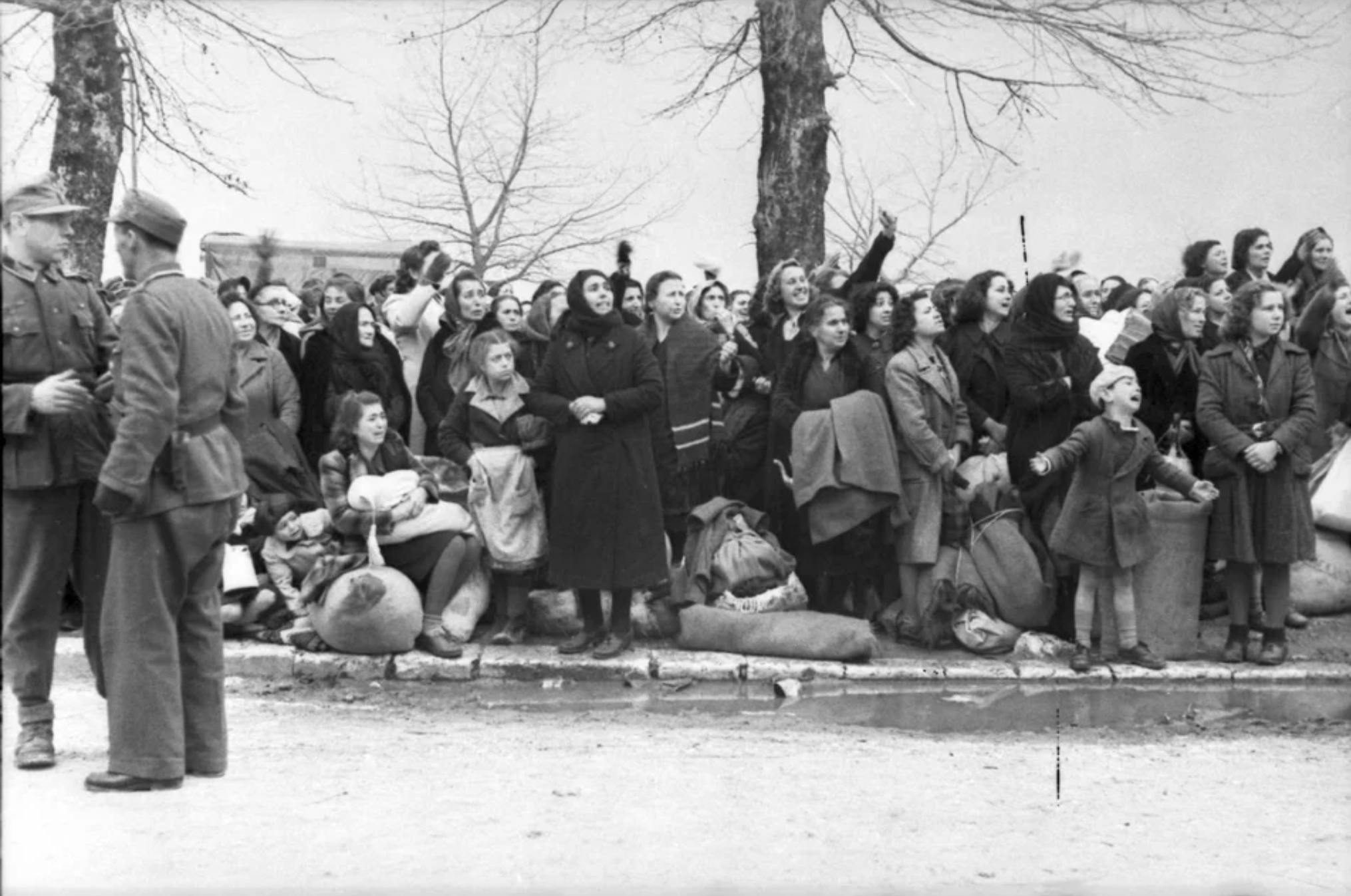 59441D9C C9E3 42C5 8AFA 75087EC4DB67