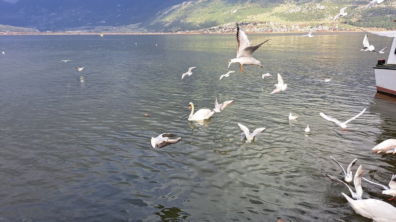 923D4D26 849E 4FE7 B97B 4666E46378AC