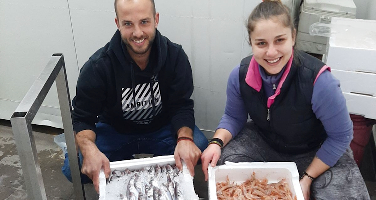 9C26B5C9 81F2 4929 87F5 400708F27266