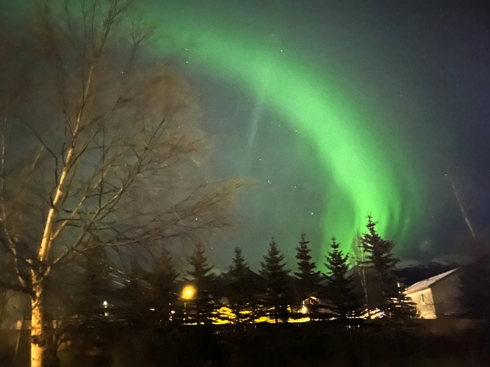 Anchorage vorio selas4545