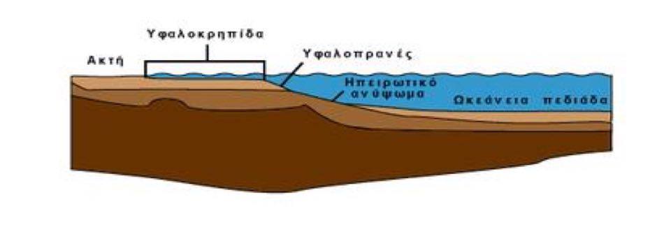 12516482 10201353235588430 1317692966 n