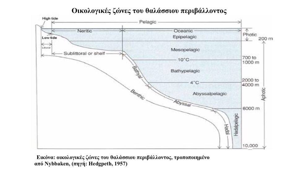 12596163 10201353232348349 215044157 n