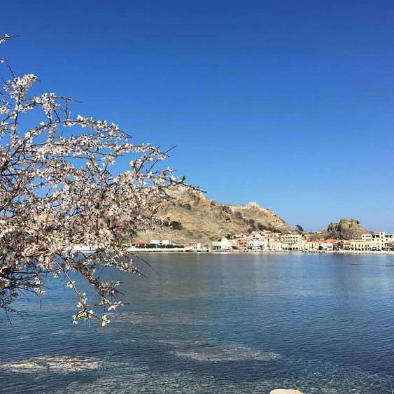 17690948 10202837533294945 1216244876 n