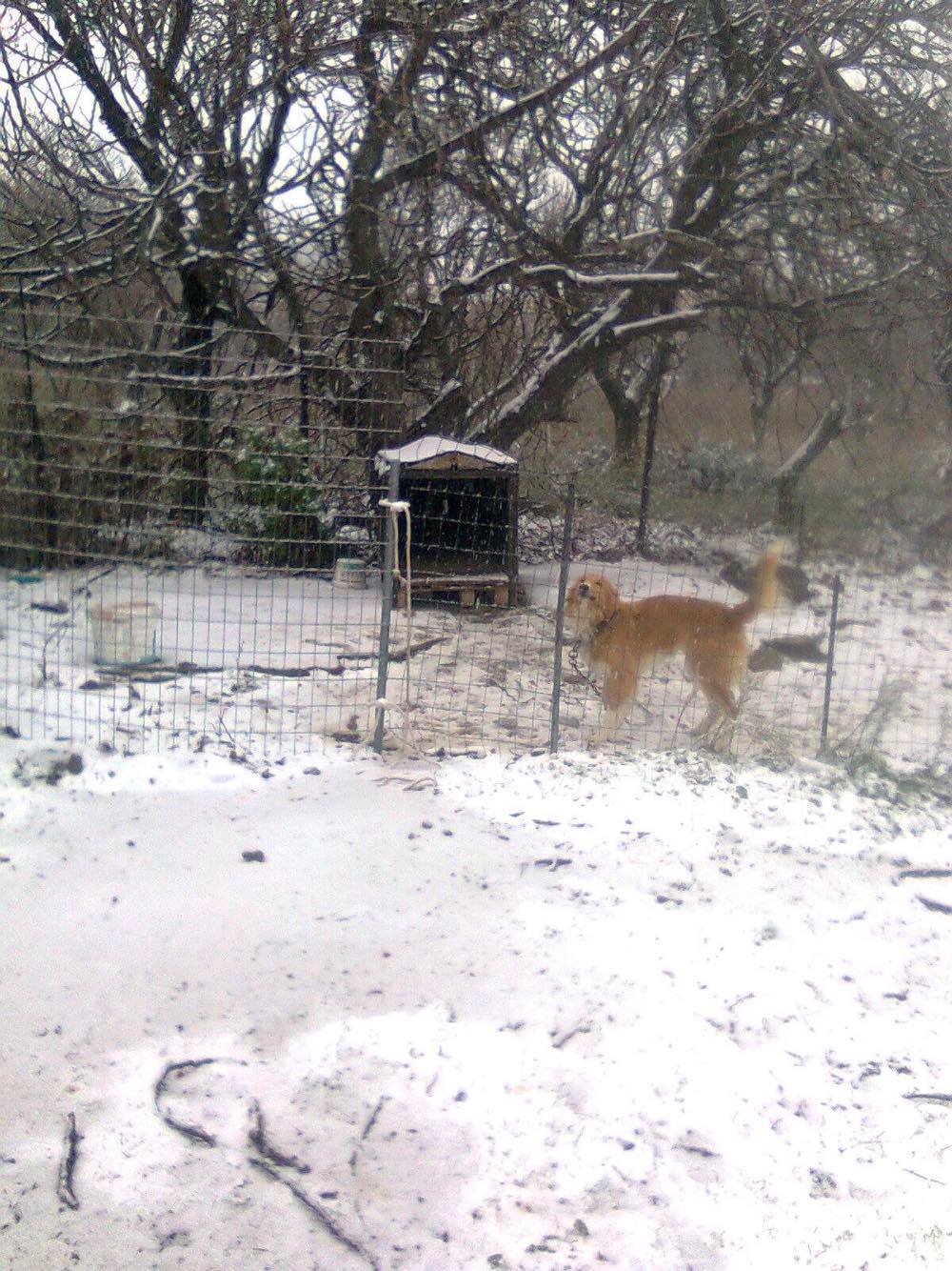 18015752 1892846357619408 1362561292 o