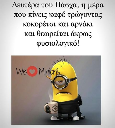 18033548 1355833094483248 4545112703070302188 n