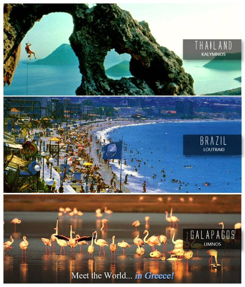 18222496 1787259814623461 3058191515303720733 n