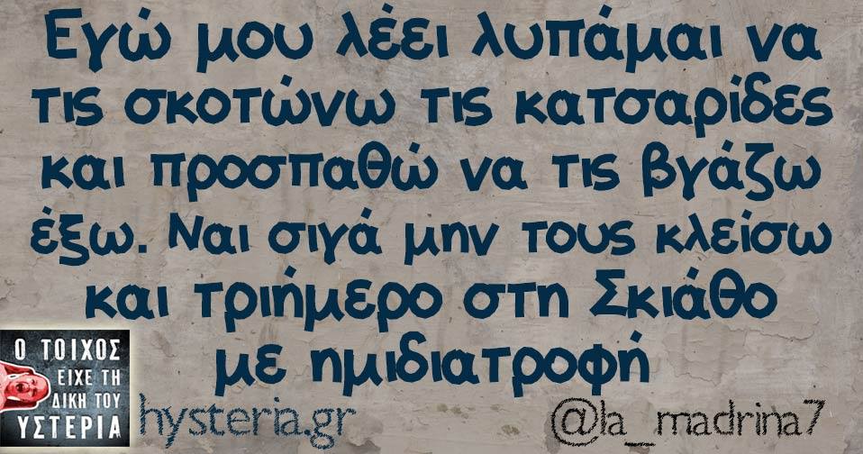 20476575 1722385091107347 2245943840387917638 n