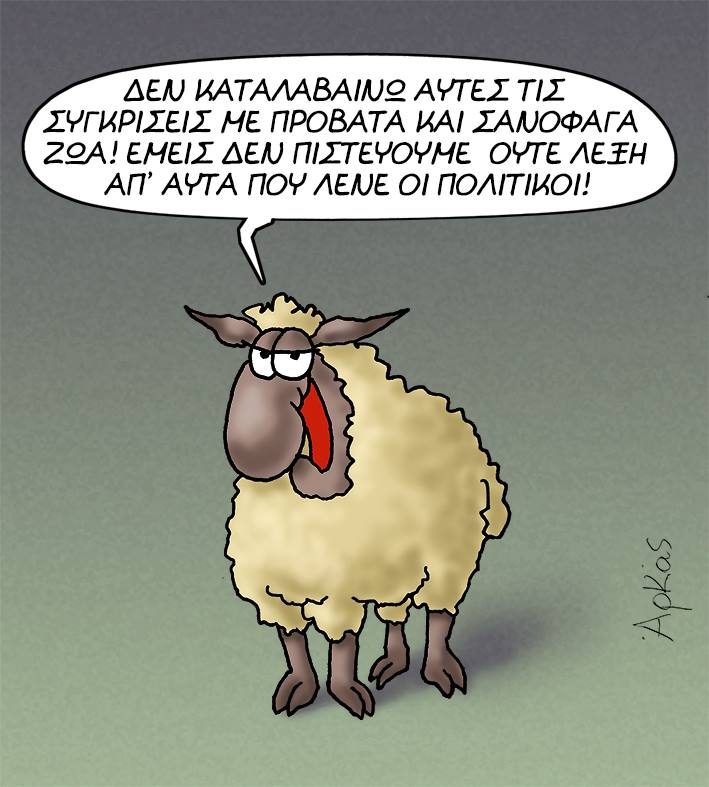 21077699 1126798507456310 8179781114500666968 n