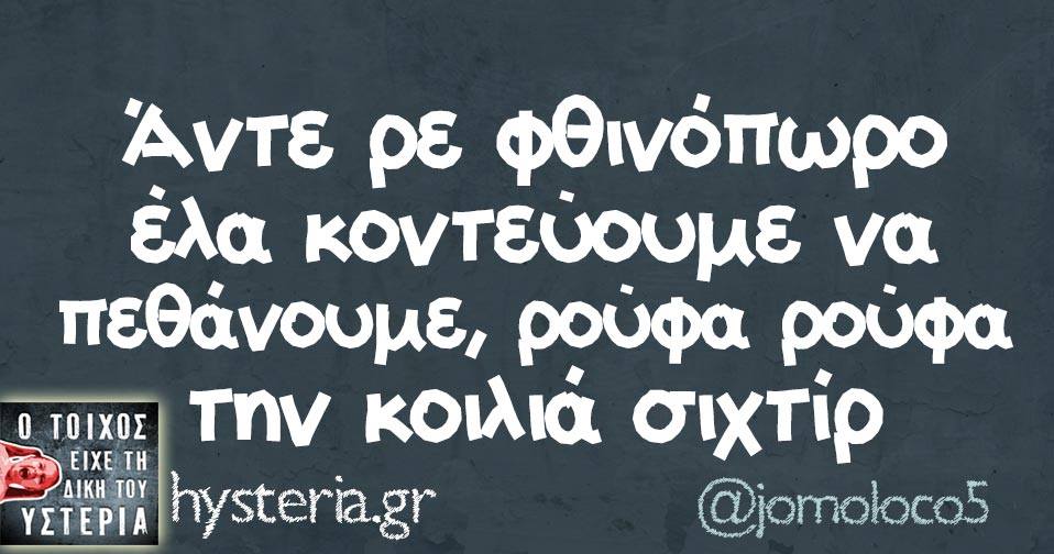 21149946 1756268411052348 5677794512758064250 n