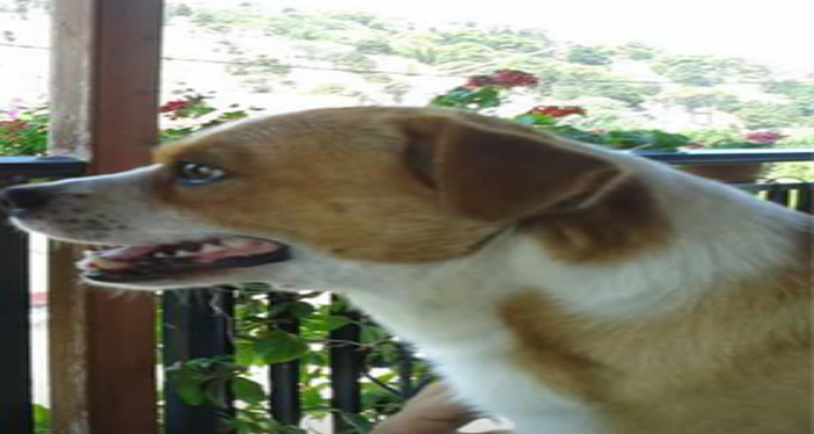 21175612 112963066082343 2031884606 n