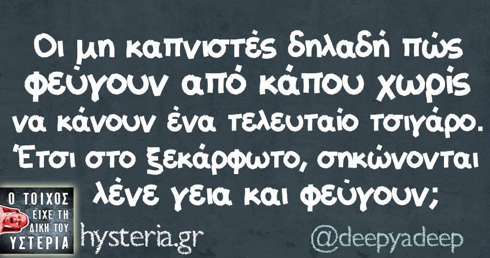 21317546 1763543453658177 7890690363688638229 n