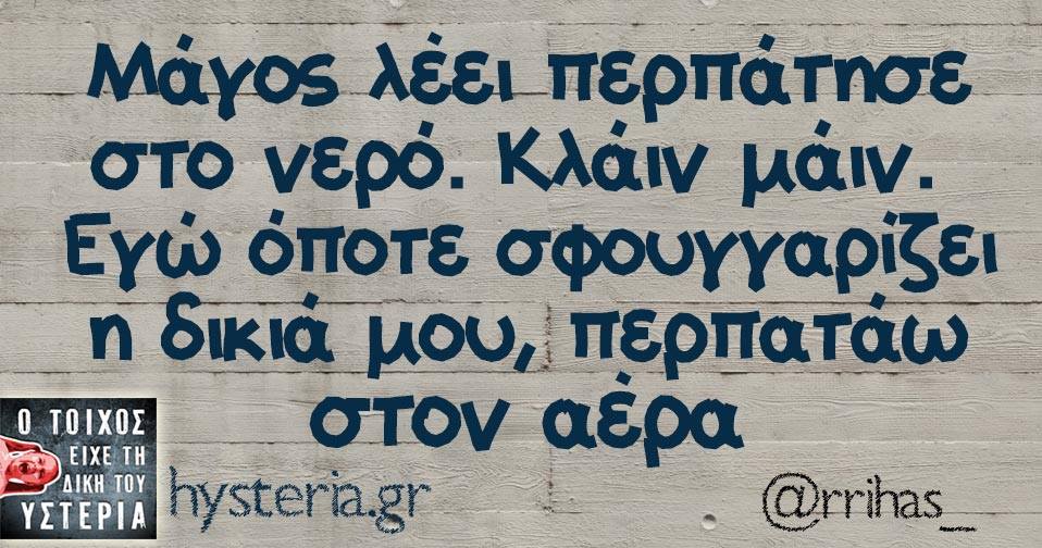 22007697 1786799891332533 9117117588128235492 n