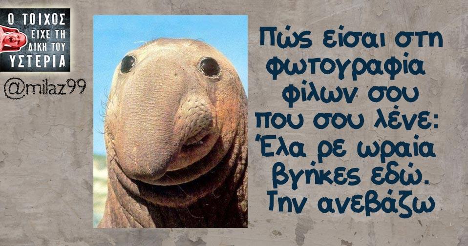 22008144 1785658511446671 8680524873144024235 n