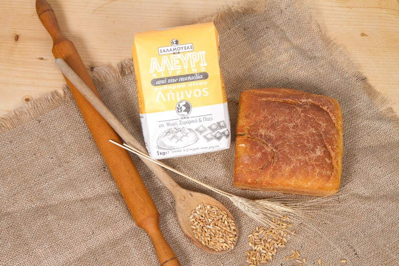 aleyri salamousaas 040