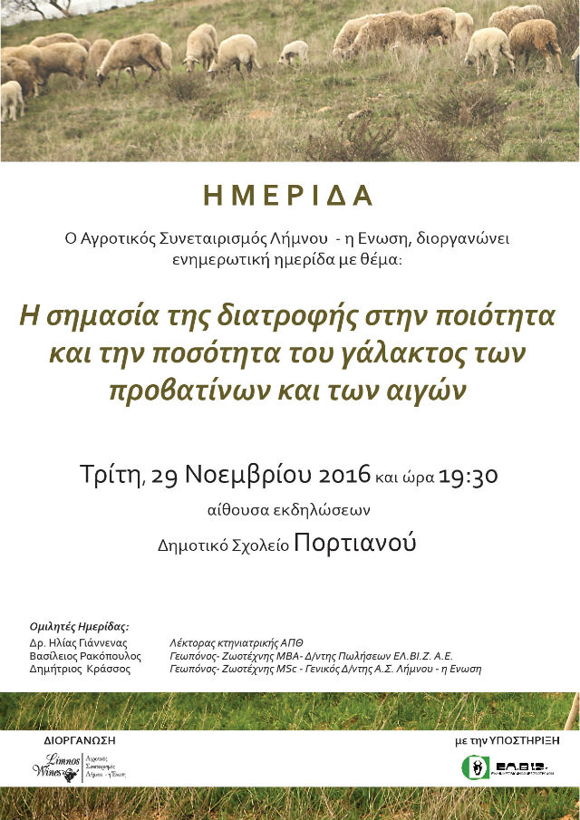 imerida portianoy afisa