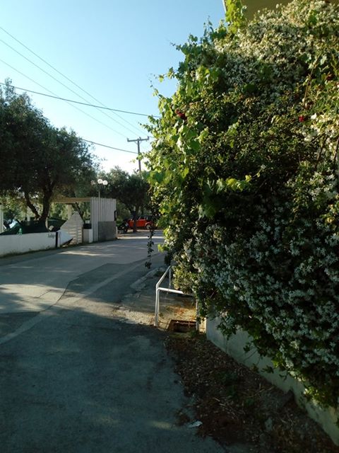 102958980 593062377985294 3225145727994782239 n