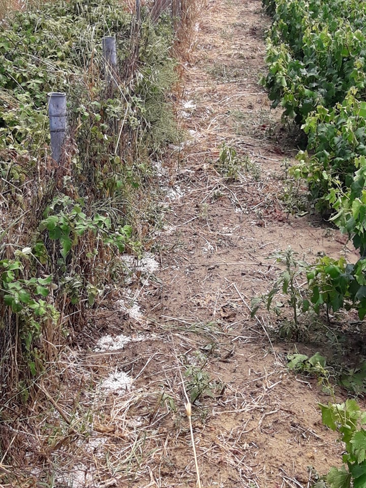 105484935 312388019941919 4859768469695895702 n