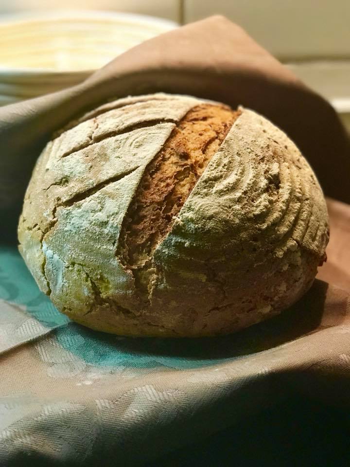 22366423 511666662518860 6592698253679218371 n