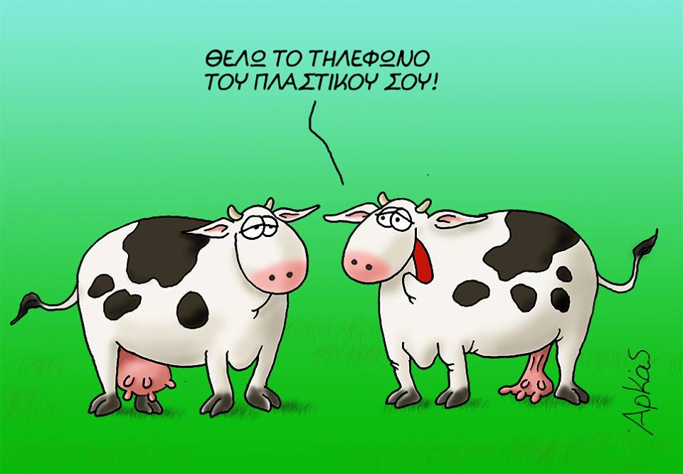 26165920 1194962070639953 1751128000570208838 n