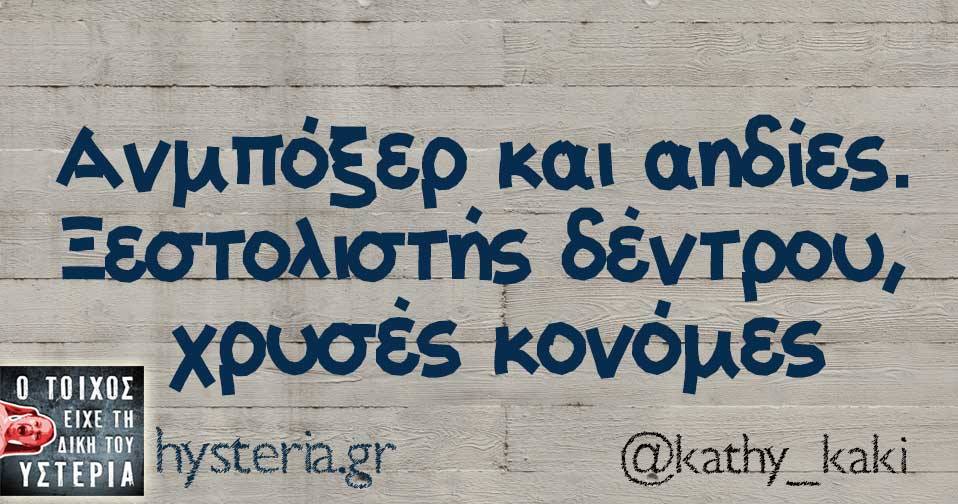 26229512 1909226582423196 1275883609464296476 n