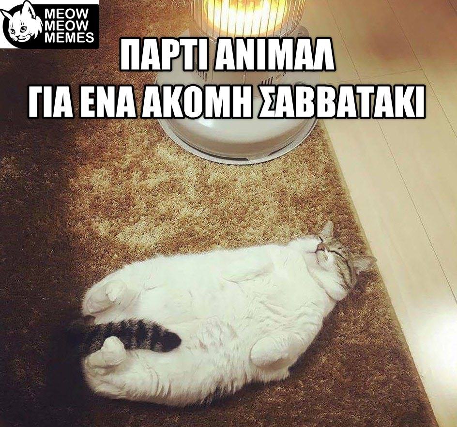 27657743 1555243134573377 1621866691897911830 n