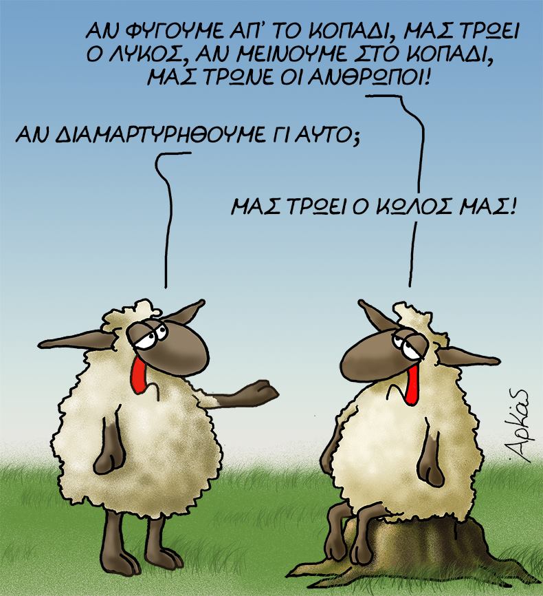 28575863 1234341196702040 4971084867725308629 n