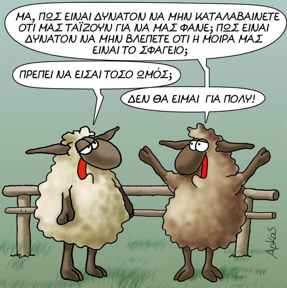 29104160 1253018978167595 6701956694421197165 n