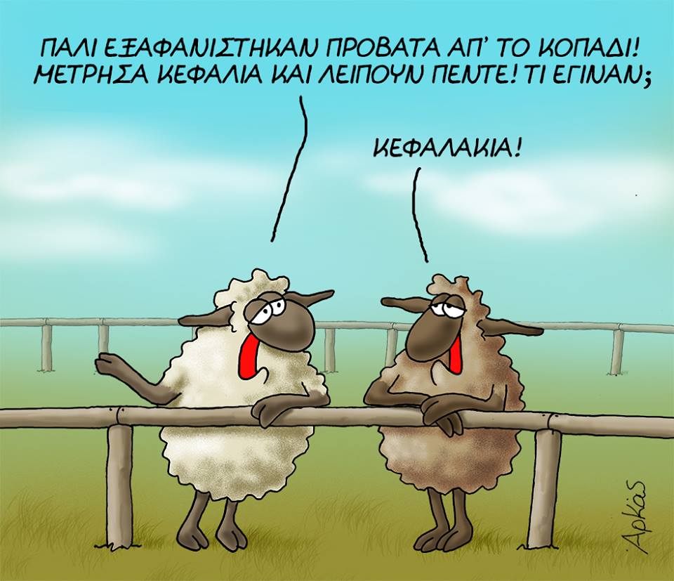 29432471 1245783988891094 6113397496405295104 n