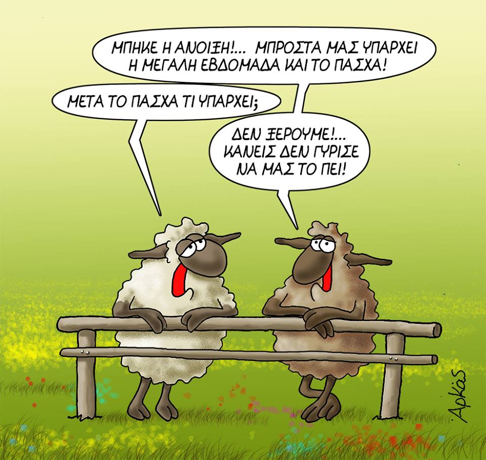 29542443 1251778664958293 846048496266151363 n