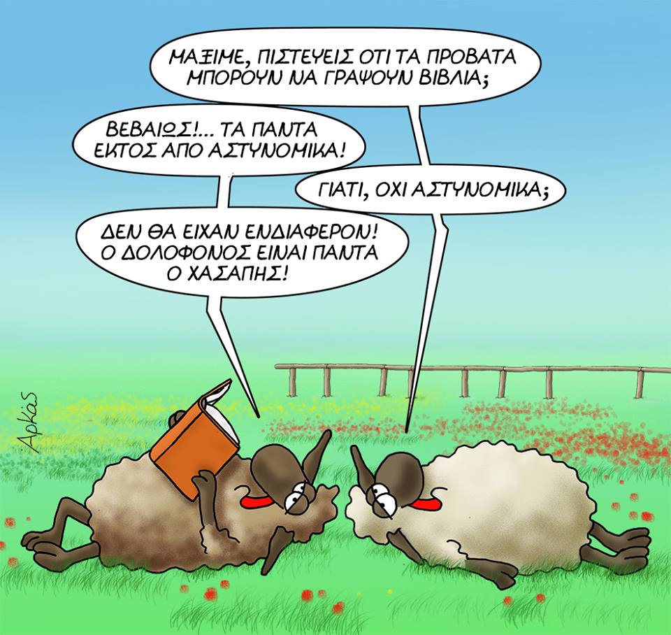 29570865 1252495208219972 4549858860352400645 n