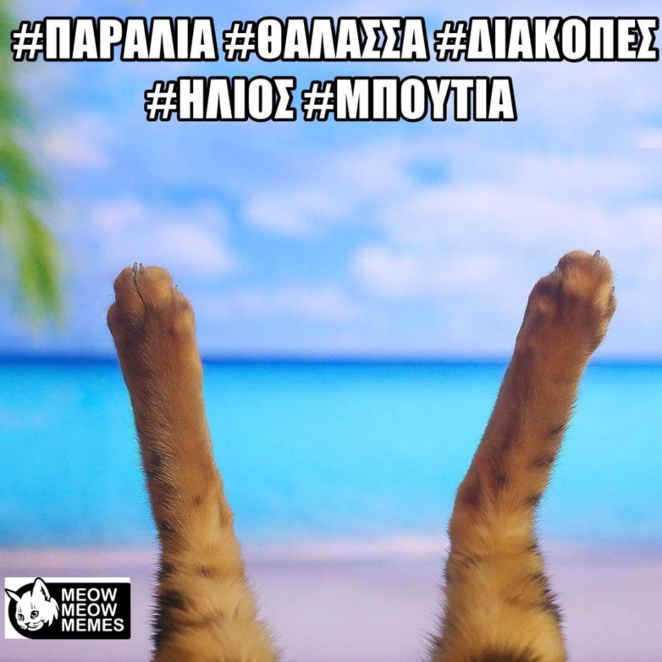 31189666 1625890994175257 4841689364033437696 n