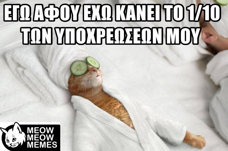 33060424 1651618988269124 406804317136224256 n