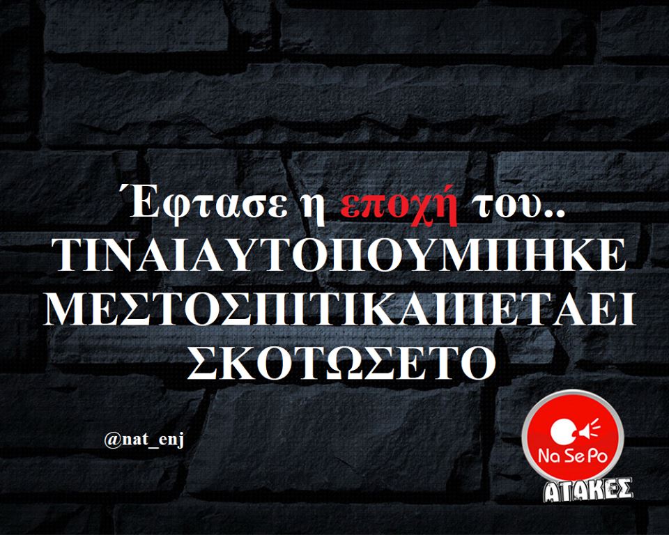 33455433 2234330789940211 4835310611749404672 n