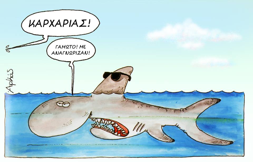 33580875 1286979341438225 2854800337141760000 n