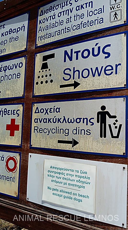 38247297 1056415771180716 8893254734450786304 n