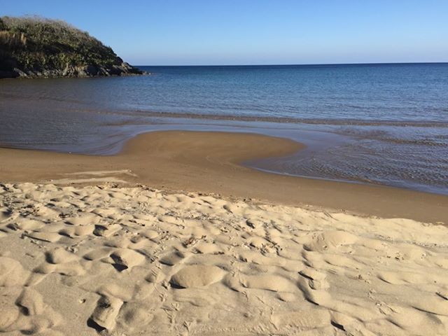 72116597 550587149025863 4307249231724281856 n