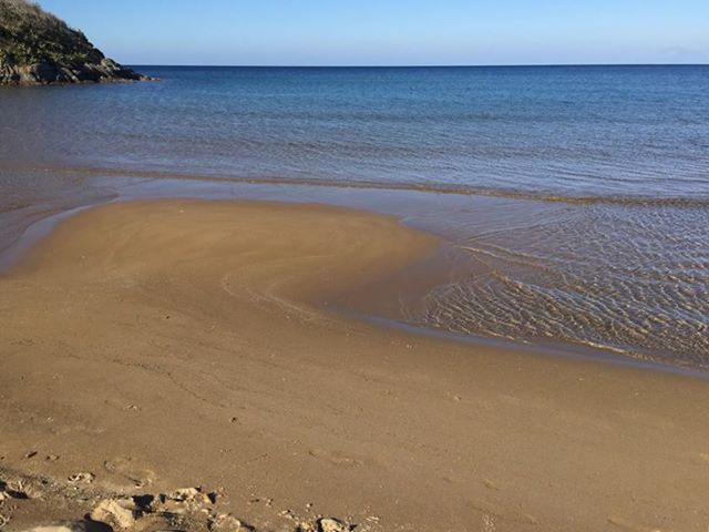 72447388 648119819047723 5552936218833977344 n