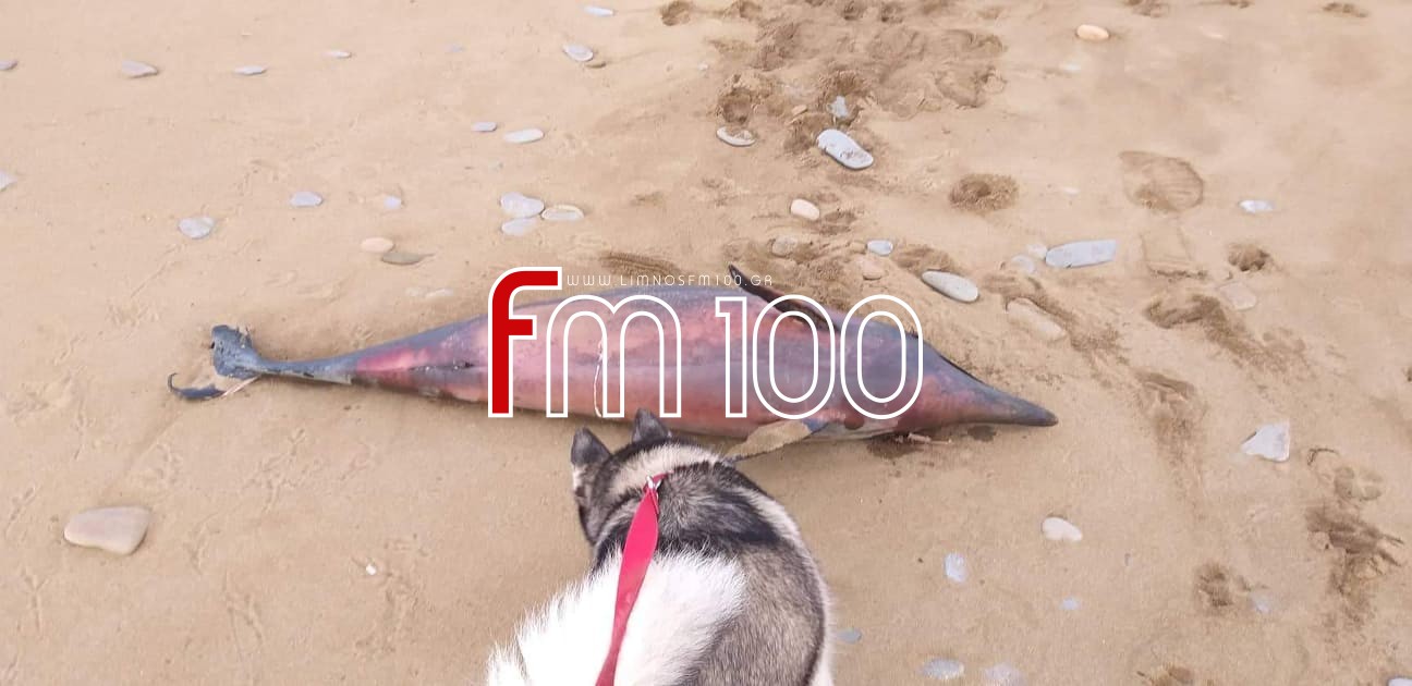 84473332 943369196095444 6754004508692447232 n