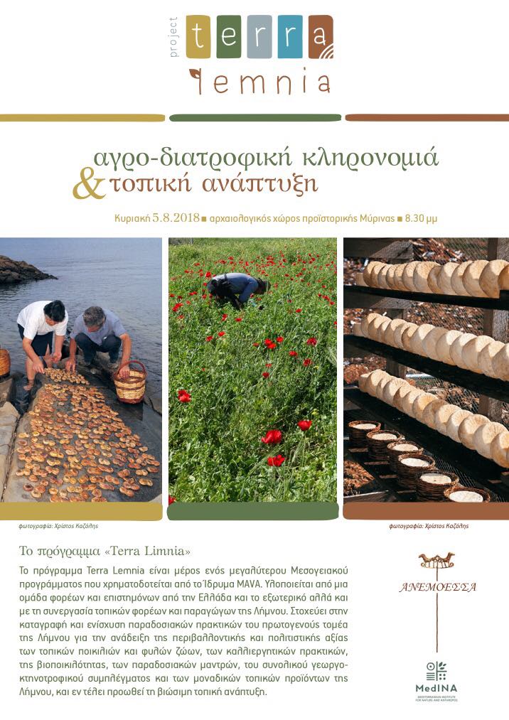 anemoessa terra lemnia 1