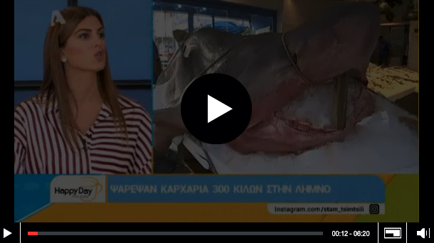 karxarias limnos happy day 1