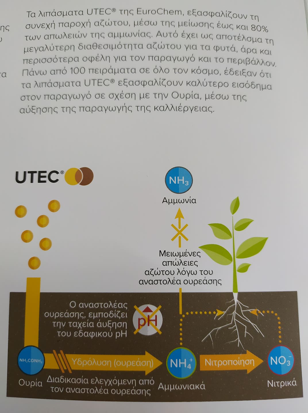utec