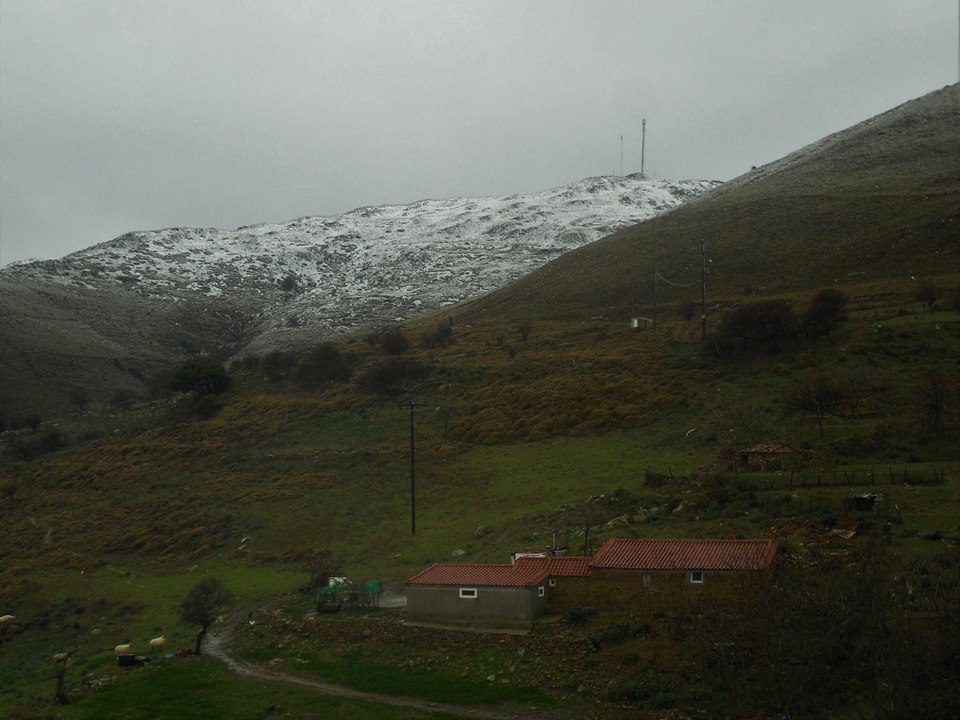 xionia dafni limnos