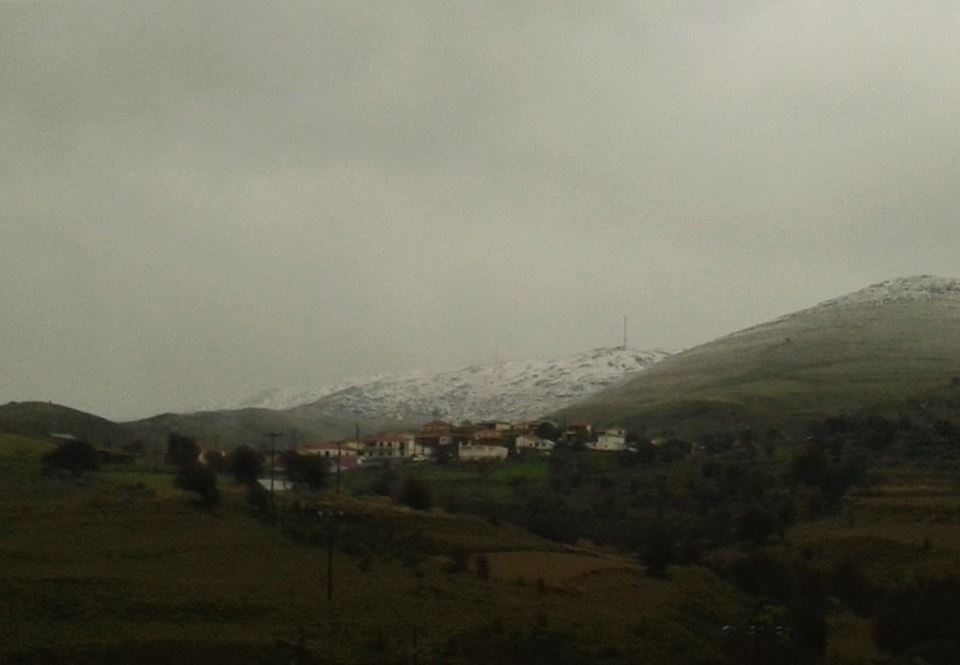 xionia dafni limnos1